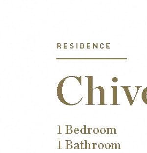 Chive Chive