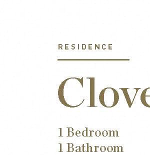 Clove Clove