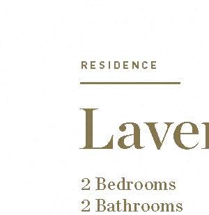 Lavender Lavender