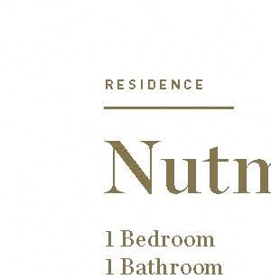 Nutmeg Nutmeg