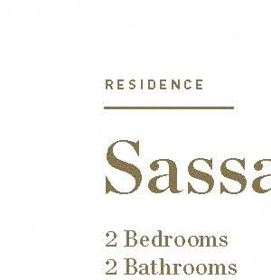 Sassafras Sassafras