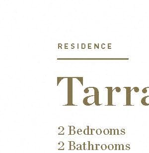 Tarragon Tarragon