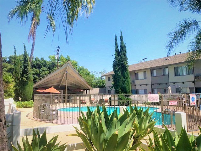 a swimming pool with a gazebo and palm trees