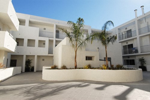 a large white building with palm trees in front of it