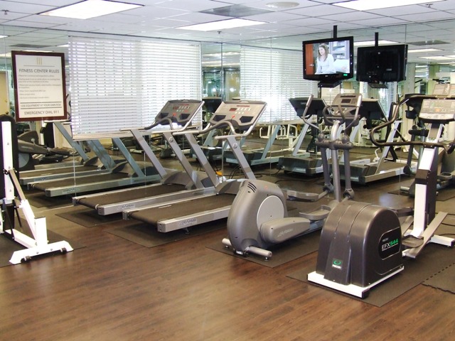 A gym with treadmills and elliptical machines.