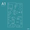 A1