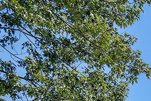 Rent Cheap Apartments In Kentucky From 496 Rentcafe