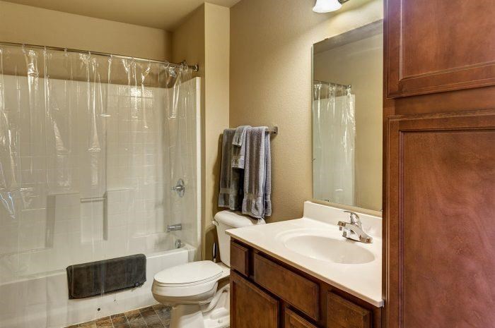 a bathroom with a sink toilet and a shower