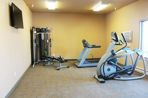 A gym room with a treadmill, a weight machine, and a television.