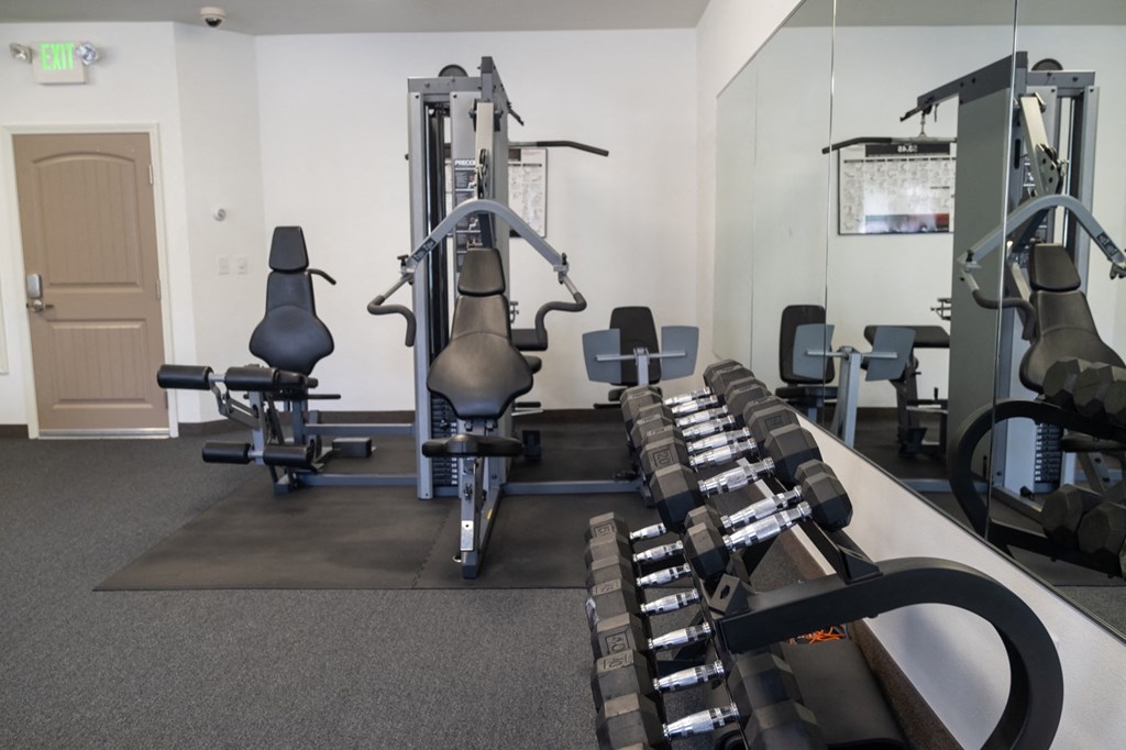a gym with cardio equipment and weights on a bench