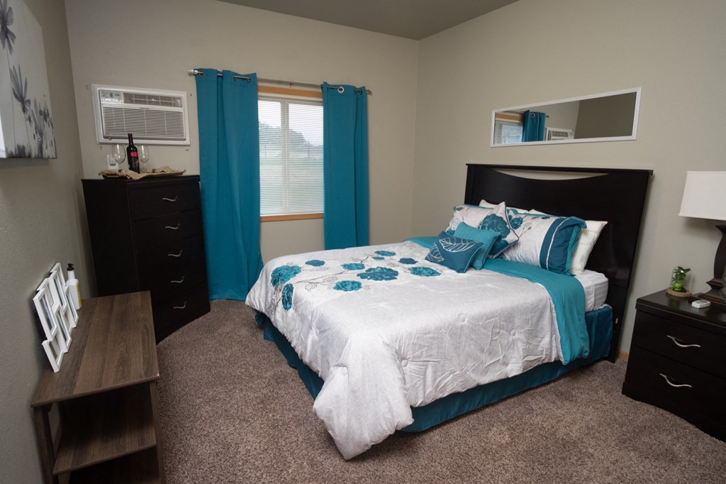 a bedroom with a bed and a dresser and a window