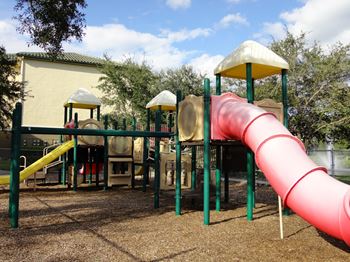 Playground at Allegro Palms Riverview Florida