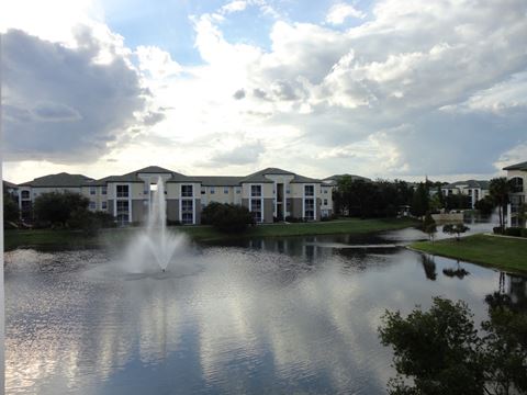 Small Lake on property Allegro Palm Riverview Florida