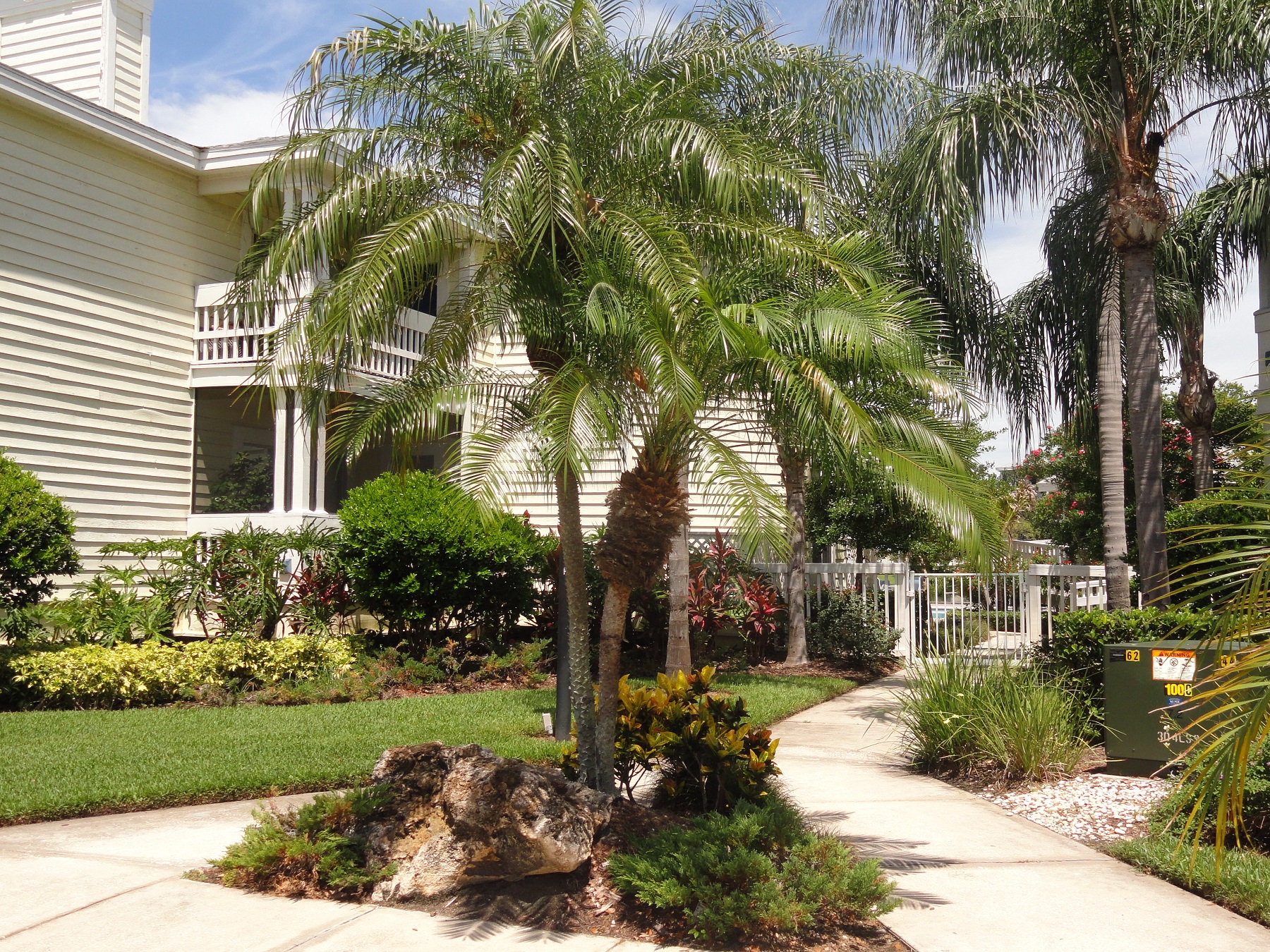 Exterior view at  Bridgewater Apartments, Florida 33716