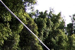 Exterior - Photo Gallery 5