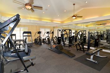 Fitness Center at Mandalay on 4th Apartments, St. Petersburg, FL, 33716