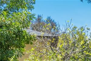 Walking Path - Photo Gallery 4