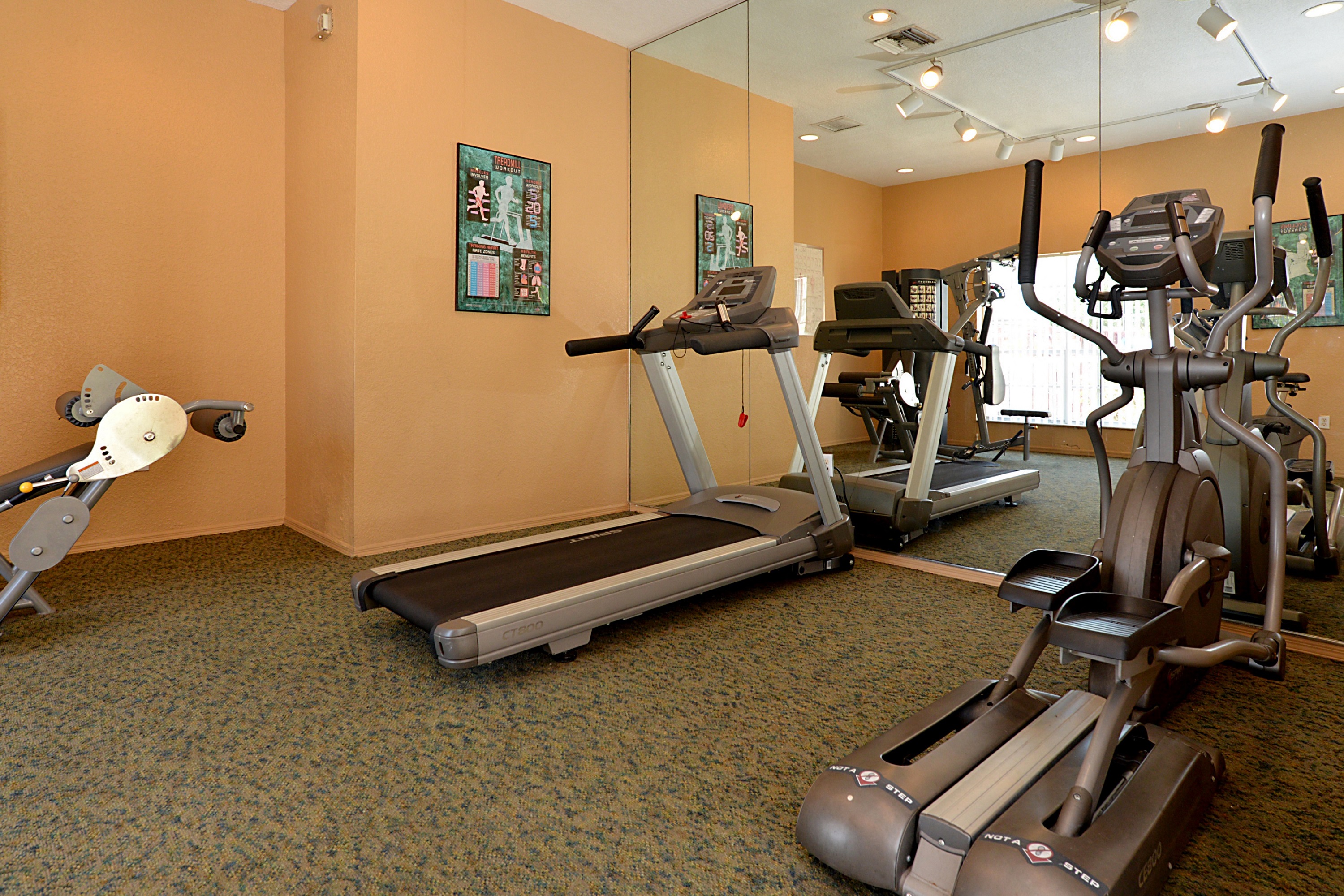 Interior Fitness Center Mirror Orlando Florida
