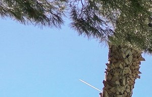 Pacific Harbors Sunrise Apartments In Las Vegas Nv