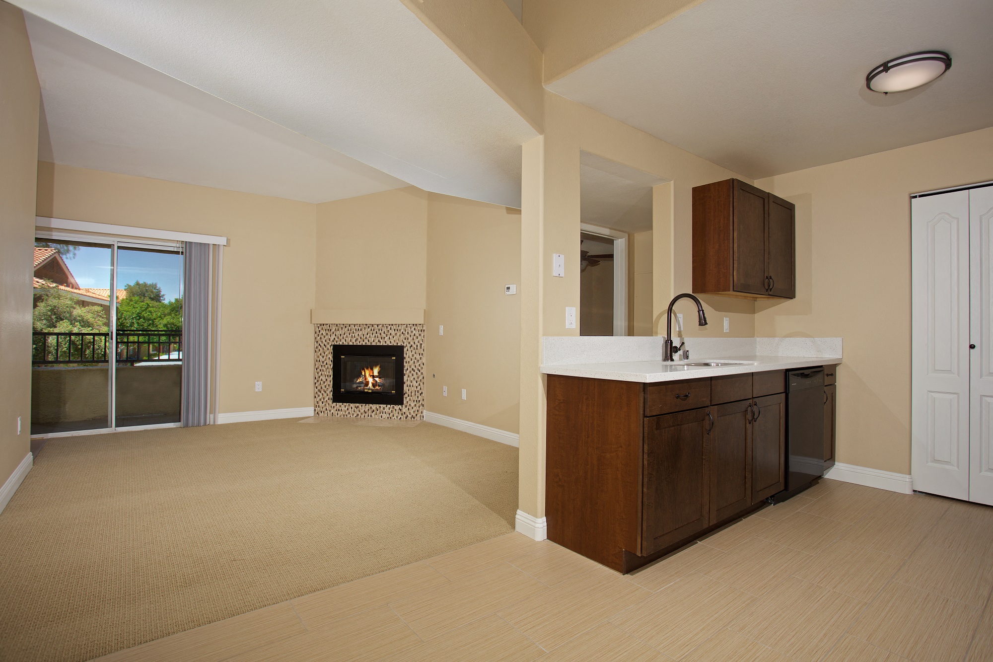 Fireplace Vinyl Flooring  at Solevita Apartments, Nevada,89014