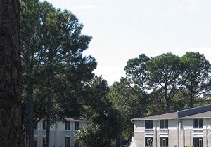 Apartments In San Diego Ca