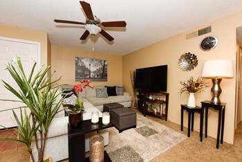 Living Room Westminster Tampa Florida - Photo Gallery 3