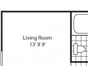 Semi-renovated 1 bed 1 bath Westminster Tampa Florida