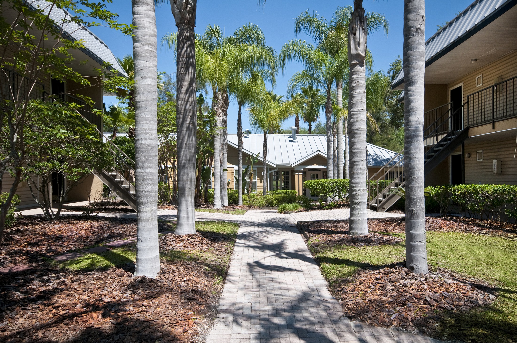 Exterior Willowbrook Tampa Florida