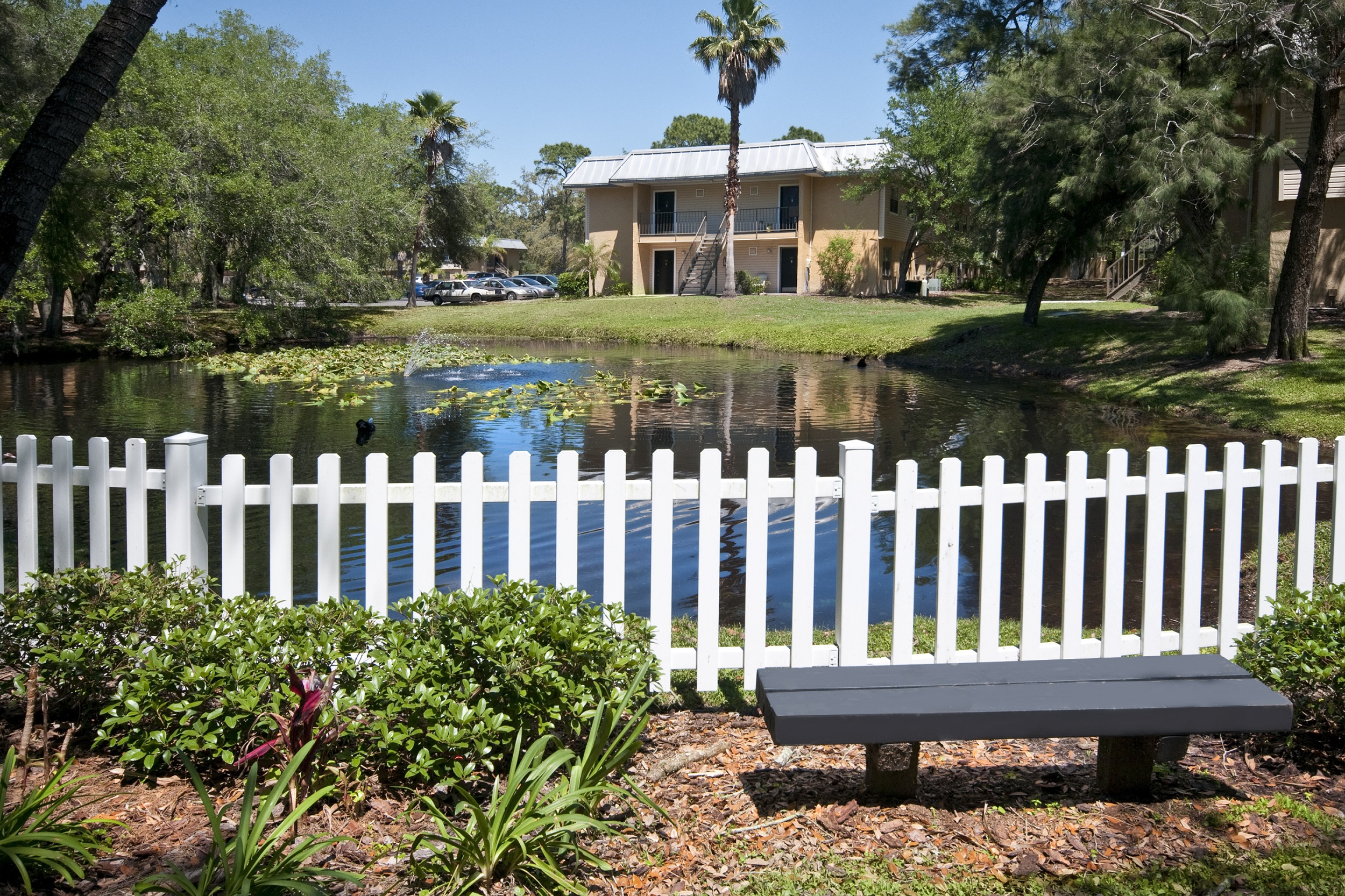 Pond Willowbrook Tampa Florida