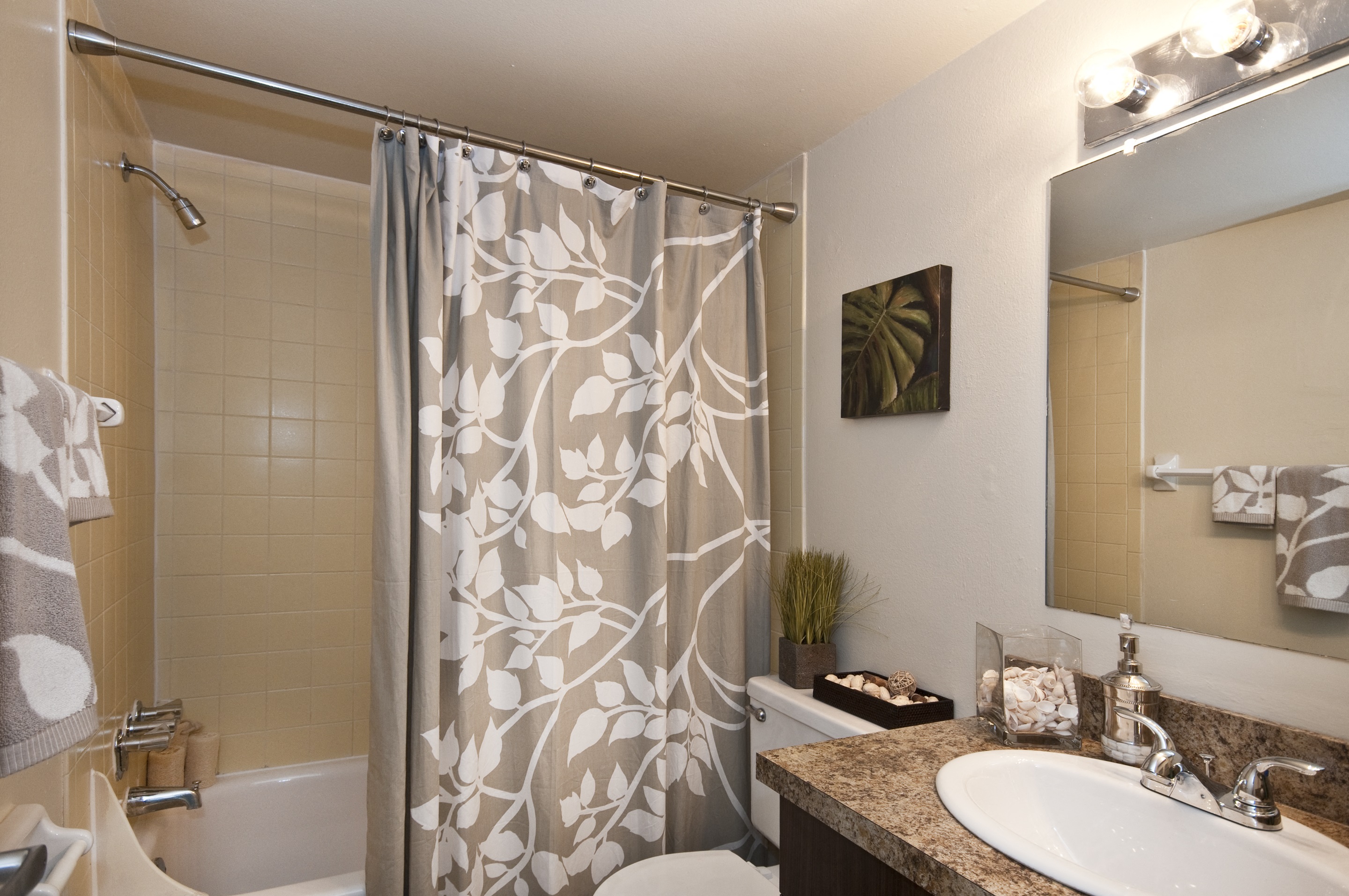 Bathroom  Willowbrook Tampa Florida