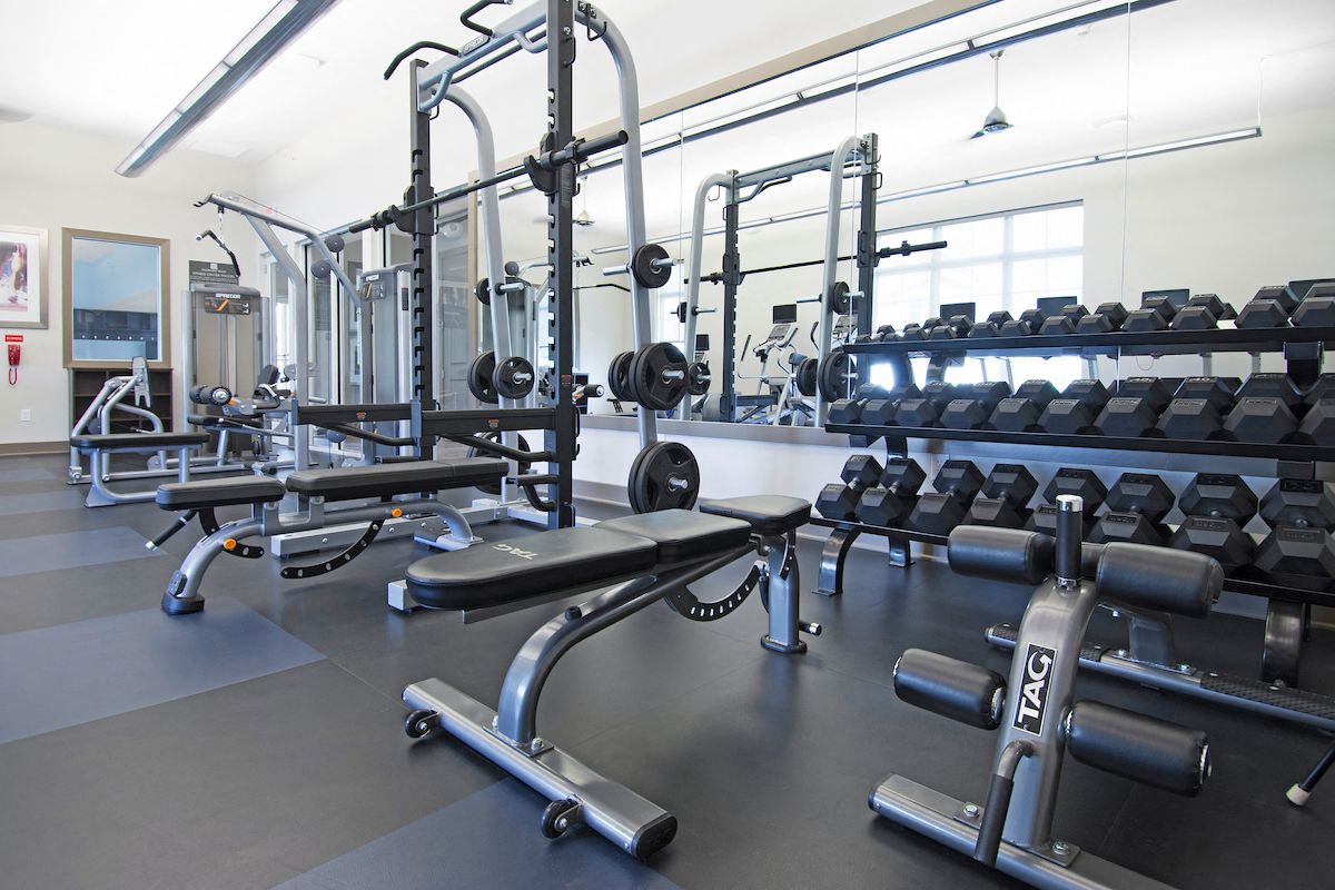 a gym full of weights and cardio equipment