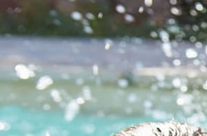 Las Lomas Apartments In El Paso Tx