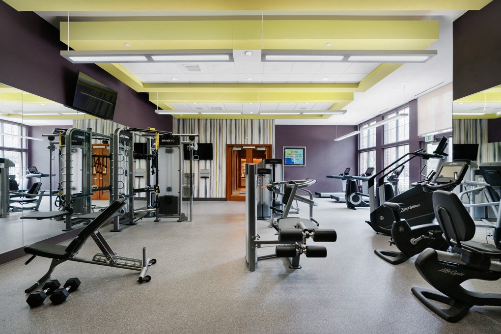 a gym with weights and other exercise equipment in a large room