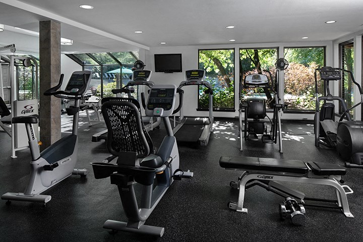 Brand New Fitness Center, Gym