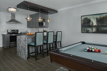 Exciting Pool Table with Bar Kitchen Area - Photo Gallery 11