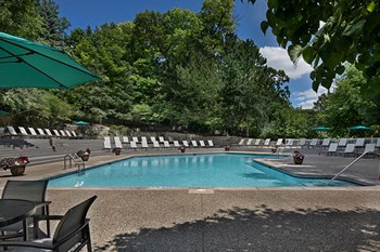 Get Plenty of Sun in our Oversized Pool - Photo Gallery 14