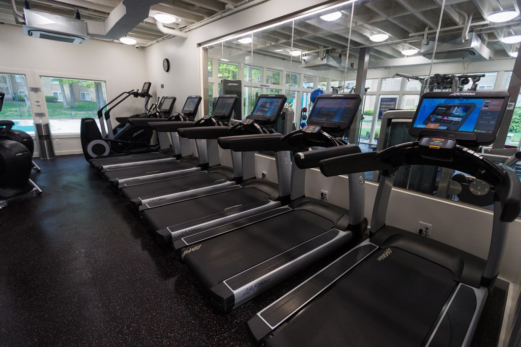 a row of cardio machines in a gym