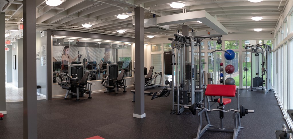 a gym with weights and cardio equipment in a building