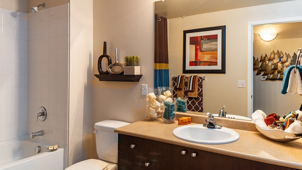 the enclave at homecoming terra vista bathroom