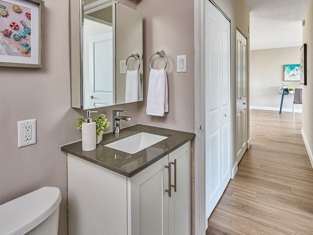 a bathroom with a sink and a mirror and a hallway with a door