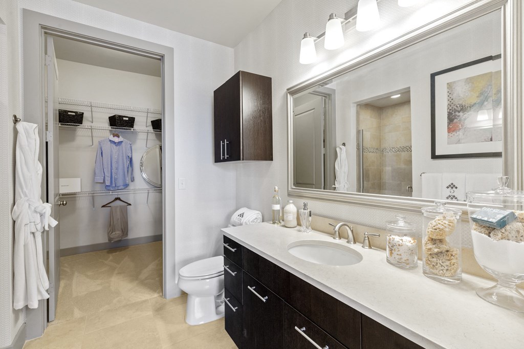 Model Bathroom Arsenal