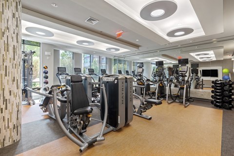 Gym 1