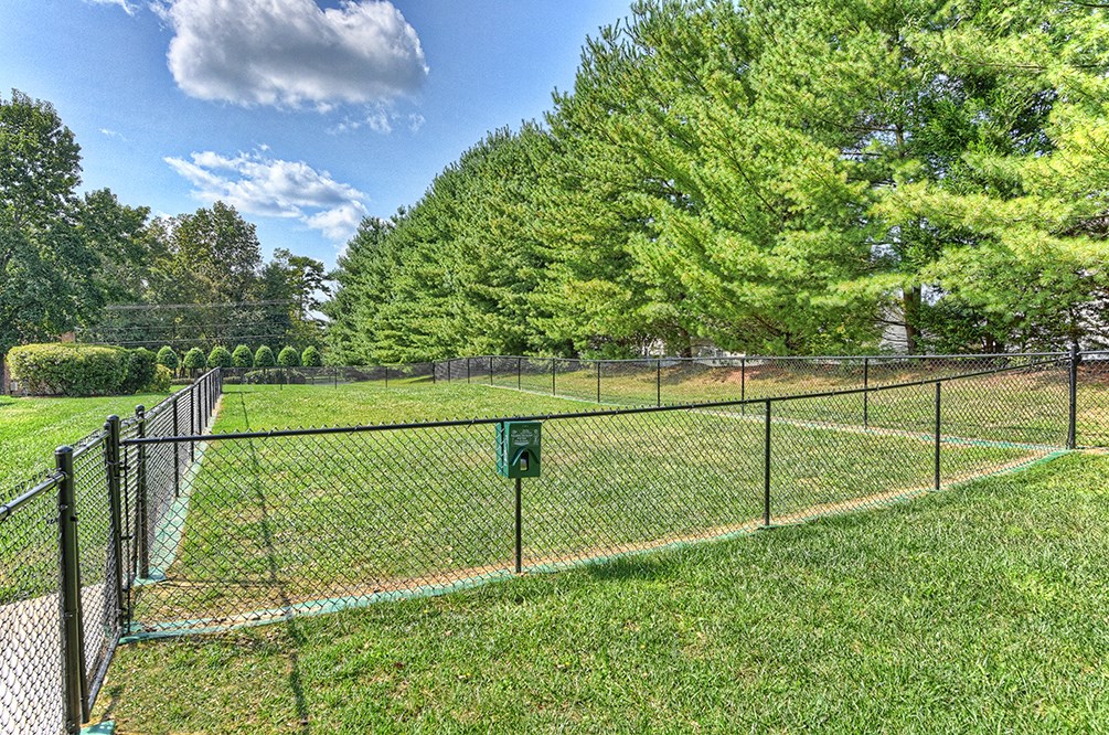 the yard is fenced off with a chain link fence