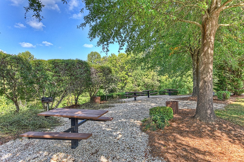 a picnic area with benches and a tree