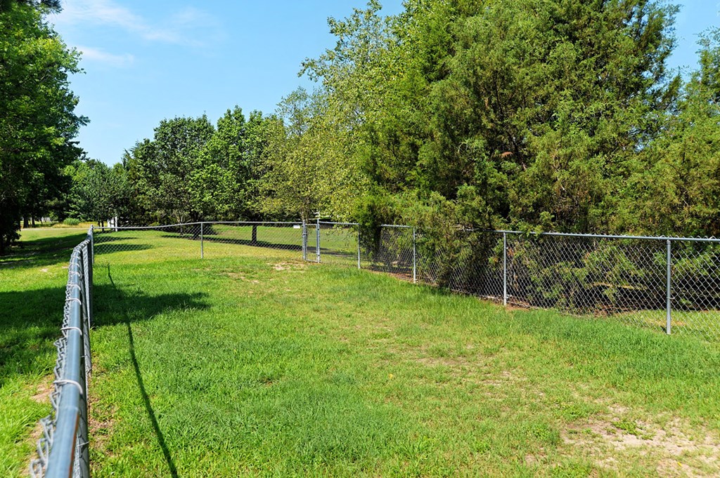 a fenced in area with trees and a fence