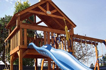 Nisqually Ridge Playground - Photo Gallery 4