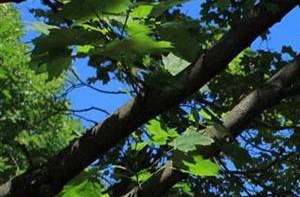 Greenbush Station | Apartments in East Greenbush, NY