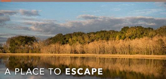 a place to escape to the lake