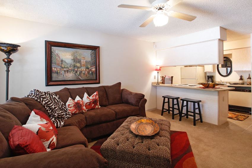 2A Eagle Hill Drive 1-2 Beds Apartment for Rent - Photo Gallery