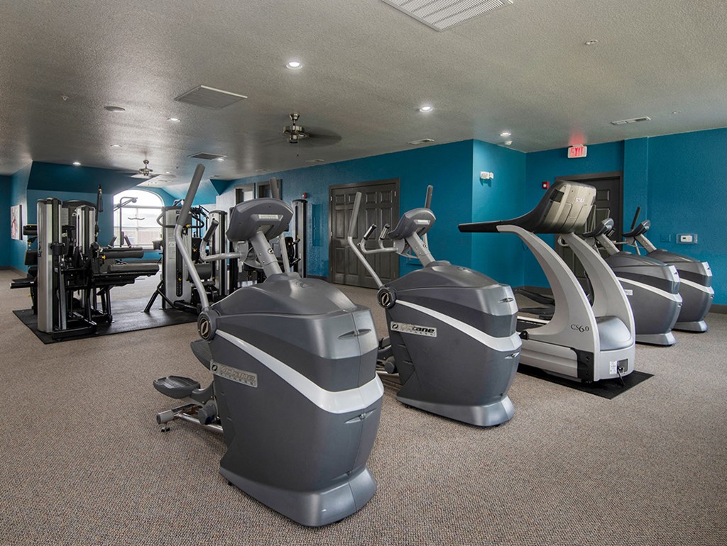 a gym with treadmills and other exercise equipment